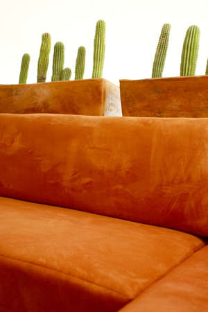 a nice indea in a modern decoration の写真素材