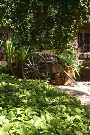 a mexican decoration in a beatiful decorationの写真素材