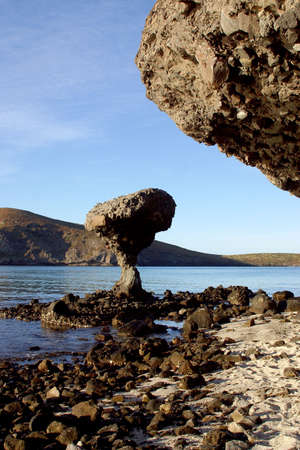 Balandra beach, near of La Paz, Baja California Sur, Mexicoの写真素材