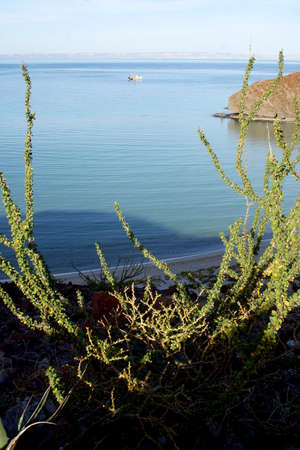 Balandra beach, near of La Paz, Baja California Sur, Mexicoの写真素材