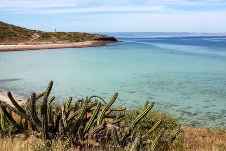 Balandra beach, near of La Paz, Baja California Sur, Mexicoの写真素材