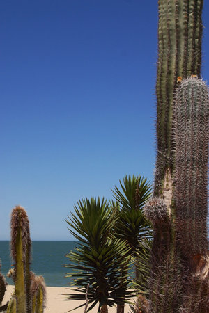 beach in San Felipe, Baja California, Mexicoの写真素材