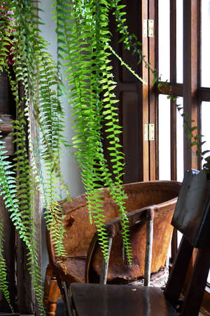 detail of a mexican house with nice decorationの写真素材