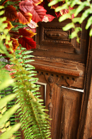 detail of a mexican house with nice decorationの写真素材