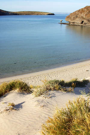 Beach near of La Paz, Baja California, Mexicoの写真素材