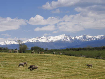 View of Cerdanya at the Pyrenees, Catalonia, Spainの写真素材