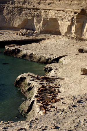 Landscape in Peninsula de Valdes, Patagonia, Argentinaの写真素材