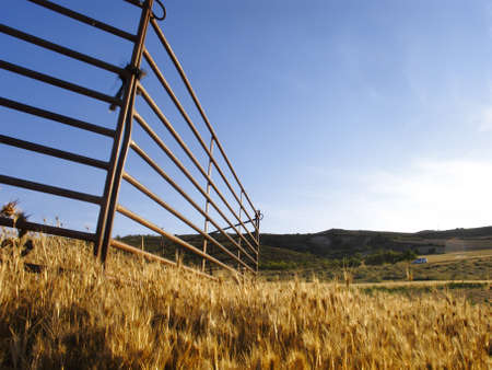 Fence in the landscape Bardenasの写真素材
