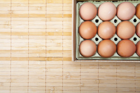 organic eggs from a farm in the Mediterraneanの写真素材