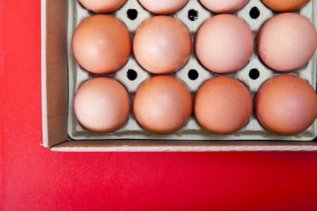 organic eggs from a farm in the Mediterraneanの写真素材