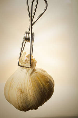 an onion in a studi photoの写真素材
