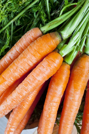 detail of organic carrots in a supermarket with organic vegetables