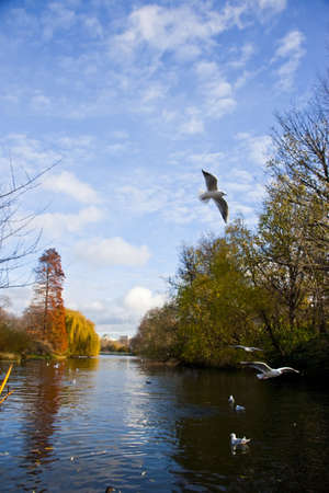 St. James Park in London, United Kingdom, Europeの写真素材