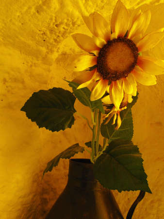 decoration with sunflowersの写真素材