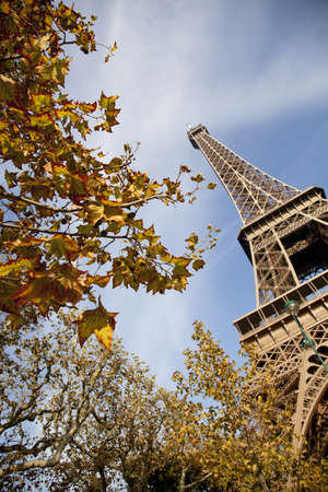 Champ de Mars, park around of Eiffel Tower, Paris, France, Europeの写真素材