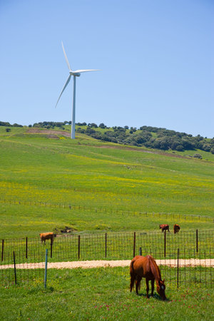 Wind turbines in Andalusia, Spain