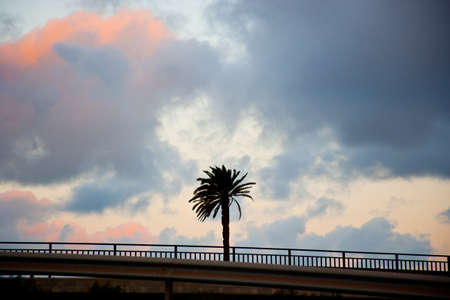 Landscape in Lanzarote, Canary Islands, Spainの写真素材