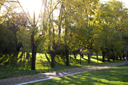 Virgen del Puerto park in Madrid Rio, Madrid, Spain. Madrid Rio is the last great ecological development in the city.の写真素材