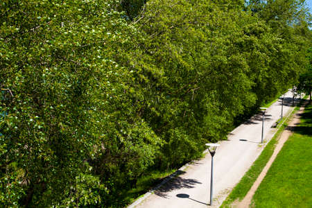 Parc de la Tete dÂ´Or park, Lyon, France, Europeの写真素材