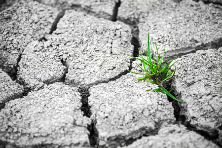 Dry land texture in desertの写真素材