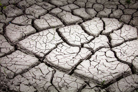 Dry land texture in desertの写真素材