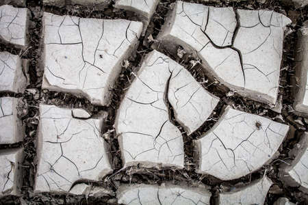 Dry land texture in desertの写真素材