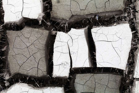 Dry land texture in desertの写真素材