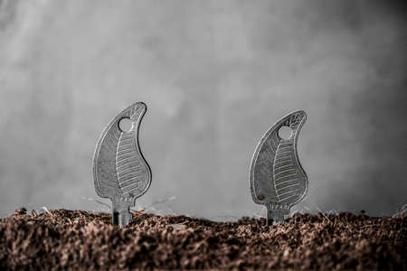 Growth concept with some soil and keysの写真素材