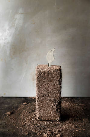 Growth concept with some soil and keysの写真素材