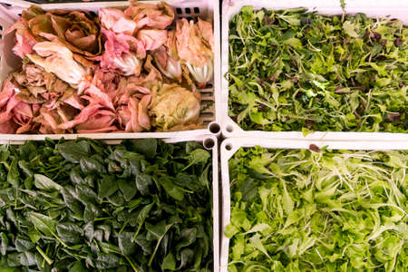 Frash vegetables in a market in Venice, Italyの写真素材