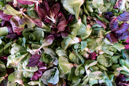 fresh vegetables in a market of Venice, Italyの写真素材