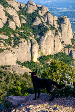 Landscape in the mountain of Montserrat in Catalonia, Spainの写真素材
