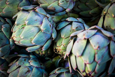 Organic artichoke in a former market in Paris, Franceの写真素材