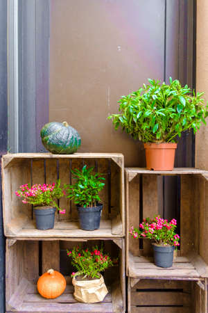 A garden detail in Swedenの写真素材