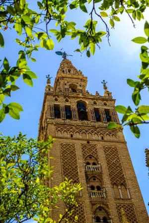 Cathedral of Cadiz, Andalusia, Spainの写真素材