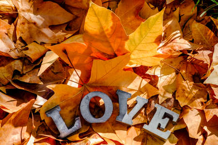 message of love with metal letters in autumnの写真素材