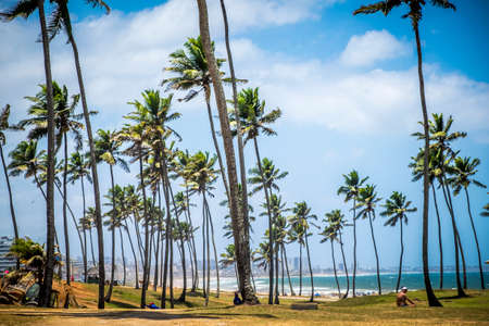 Salvador, Bahia, Brazil - October 27, 2016: panoramic of the coastline of the city, one of the most larges in this countryのeditorial素材