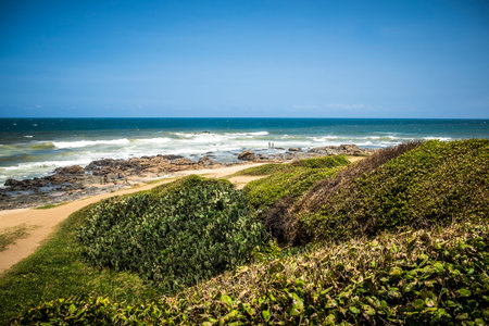 Beach in Salvador Bahia Brazil Southamerica