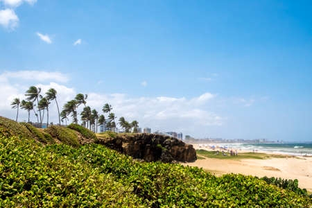 Beach in Salvador Bahia Brazil Southamericaの写真素材
