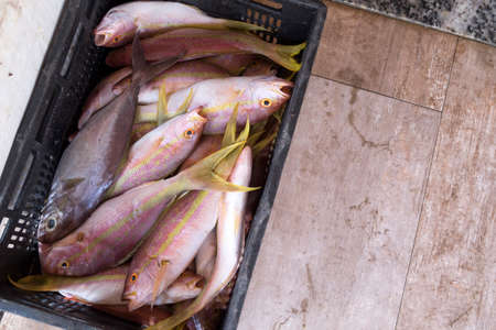 fish for sale near of Yemanja temple in Salvador Brazilの写真素材