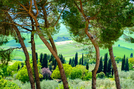 View from Pienza across the countryside Italy Europeの写真素材