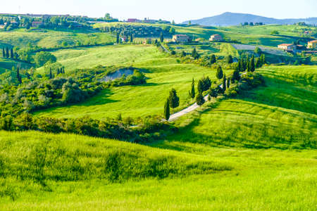 Countryside landscape around Pienza Tuscany Italyの写真素材