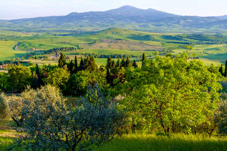 Countryside landscape around Pienza Tuscany Italyの写真素材