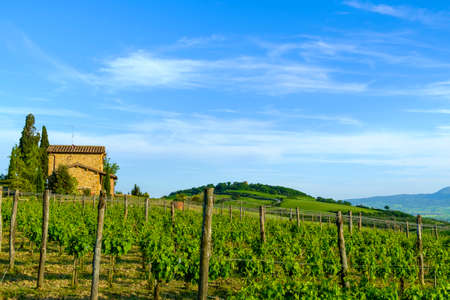 Countryside around San Quirico d'Orcia is one of the most beatiful medieval towns in Tuscany Italyの写真素材