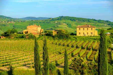 Countryside landscape around Pienza Tuscany Italyの写真素材