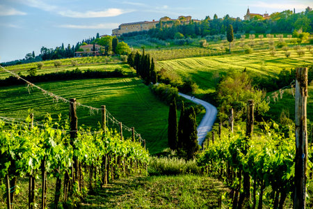 Countryside landscape around Pienza Tuscany Italyの写真素材