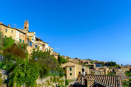 View of Montalcino Tuscany Italy