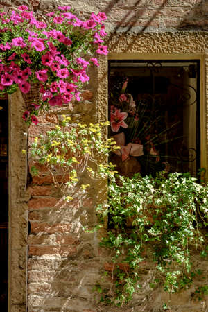 Flowers in the spring in Pienza Tuscany Italy Europeの写真素材