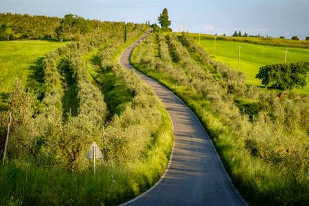 Val d'Orcia in Italy's Tuscany province Europeの写真素材