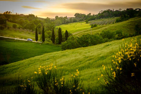 Scenery near to Pienza, Tuscany. The area is part of the Val d'Orcia Italy Europeの写真素材
